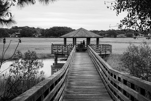 Marshland boardwalk image