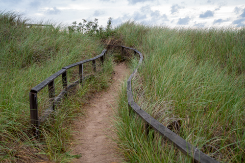 Dunes at Port Austin image