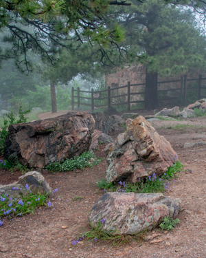 Rocky Mountain Path image