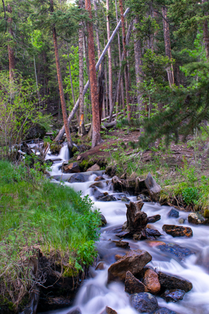 Rocky Mountain Stream image