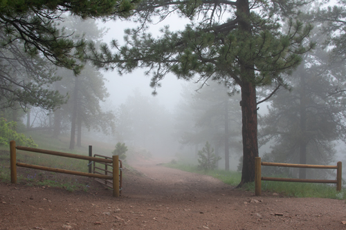 Rocky Mountain Trail image