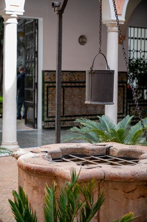 Alcazar Courtyard image