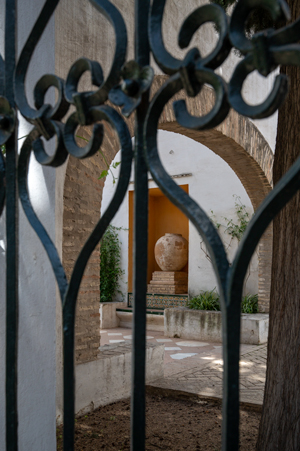 Alcazar Courtyard 1 image