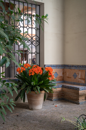 Alcazar Courtyard 3 image